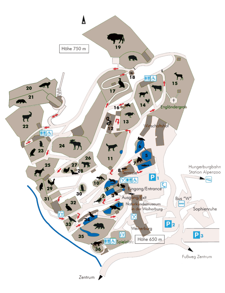 Zooplan