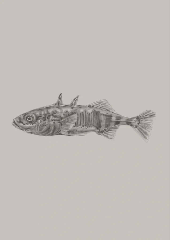 alpenzoo-tierarten-fische