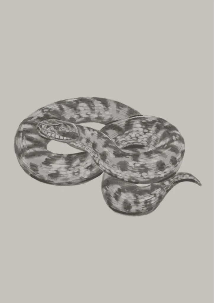 alpenzoo-tierarten-reptilien